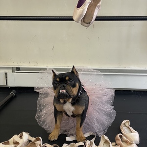 Fundraising Page: Chickpea Morales